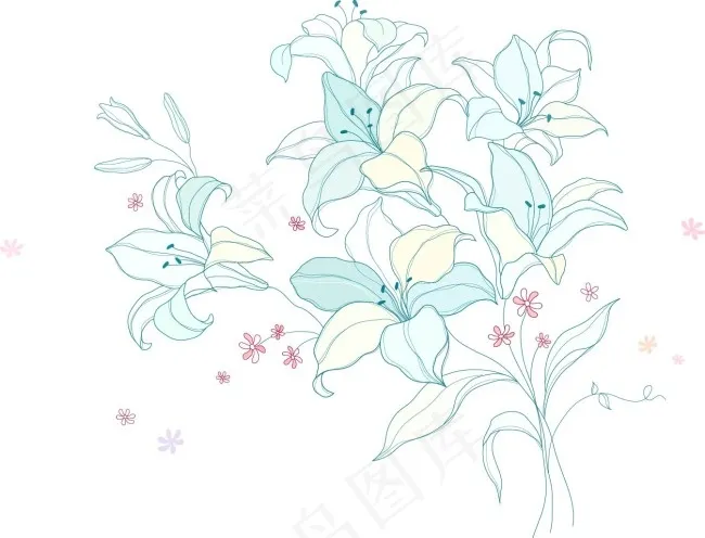 百合花ai矢量模版下载