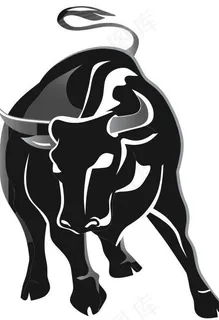 公牛图片 公牛图片