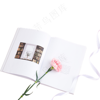 一朵放在书本上的康乃磬一朵放在书本上的康乃磬