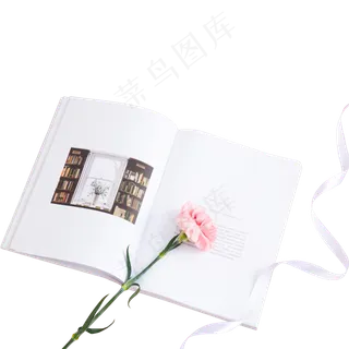 一朵放在书本上的康乃磬一朵放在书本上的康乃磬