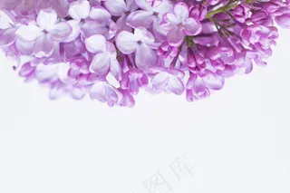 简约小清新文艺风插花静物摆拍背景