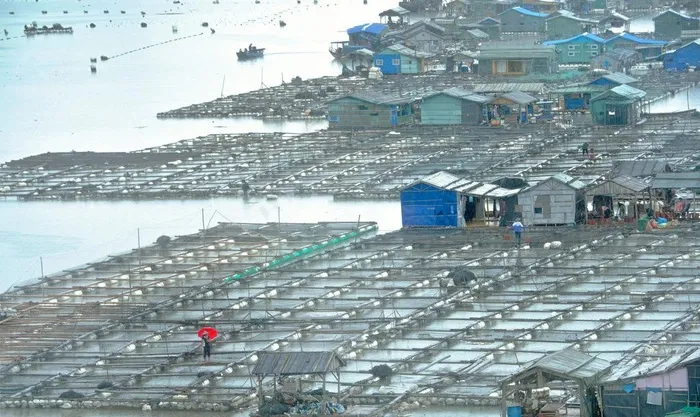 鲍鱼基地图片
