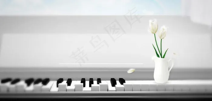 钢琴图片