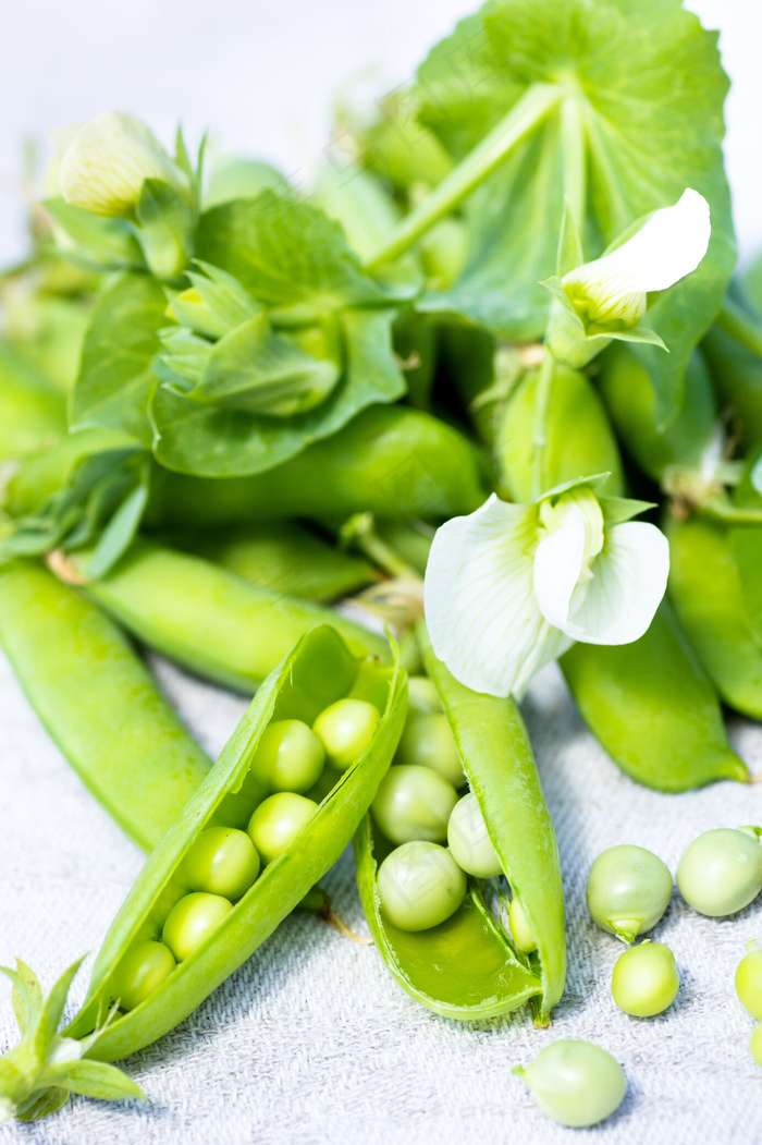 豌豆花与豆角