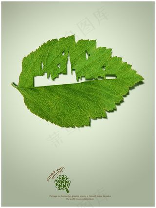 残缺的绿叶