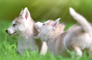 爱就久一点QQ空间flash