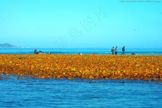 中国海洋风光 南澳杨梅坑图片