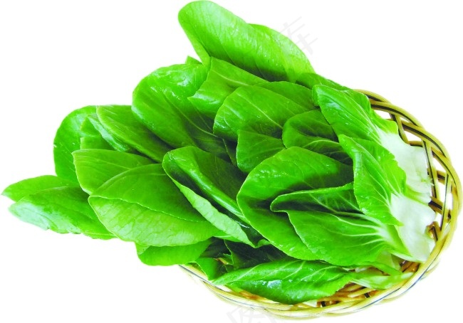 青菜图片素材下载