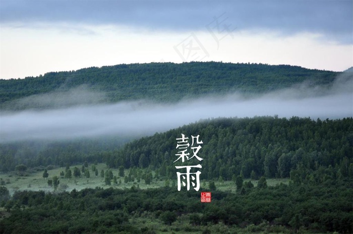 谷雨二十四节气森林雾气图片