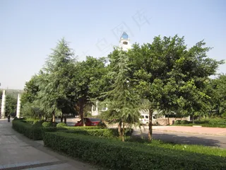 重庆南方翻译学院图片