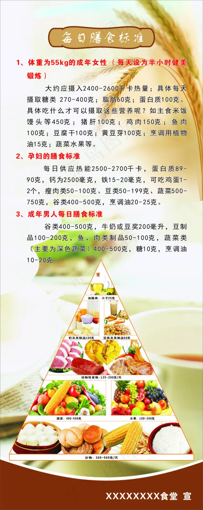 饮食标准金字塔cdr矢量模版下载