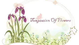 韩国植物装饰边框矢量图39