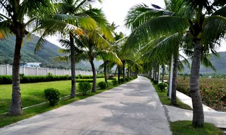 三亚玫瑰谷风景 观光 旅游