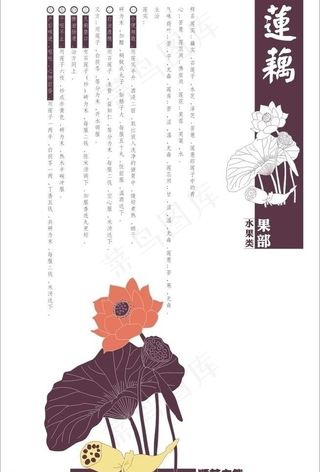 果部 水果类图片