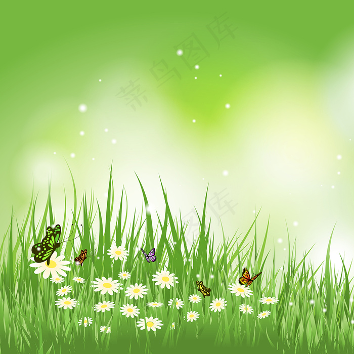 蝴蝶在草雏菊飞背景