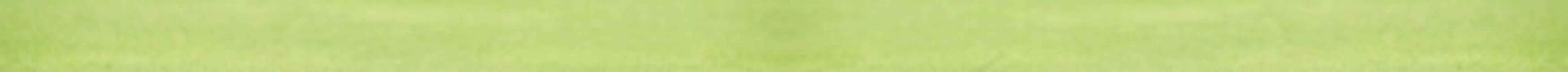 欧美高尔夫网站模板图片