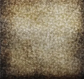 欧式花纹墙纸图片