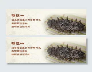 海参淘宝海报图片