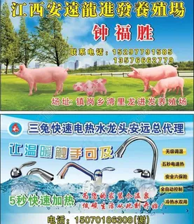 猪厂名片 电热水龙头名片图片