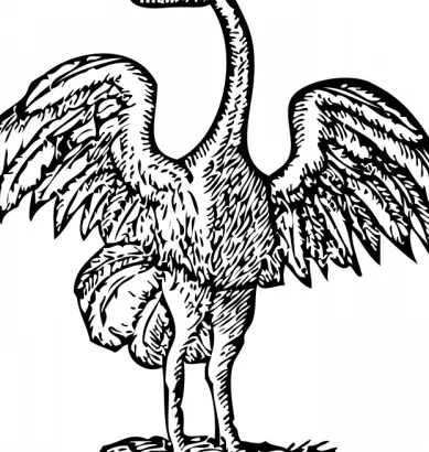 鸟雕刻矢量