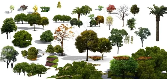 室外树木装饰图片