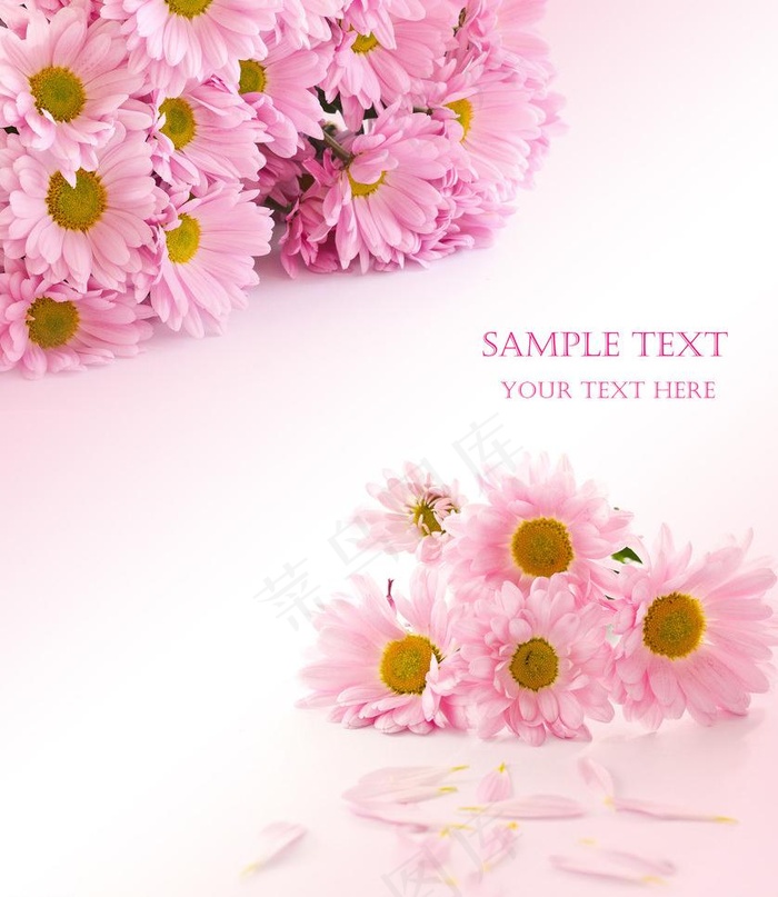 花朵移门设计