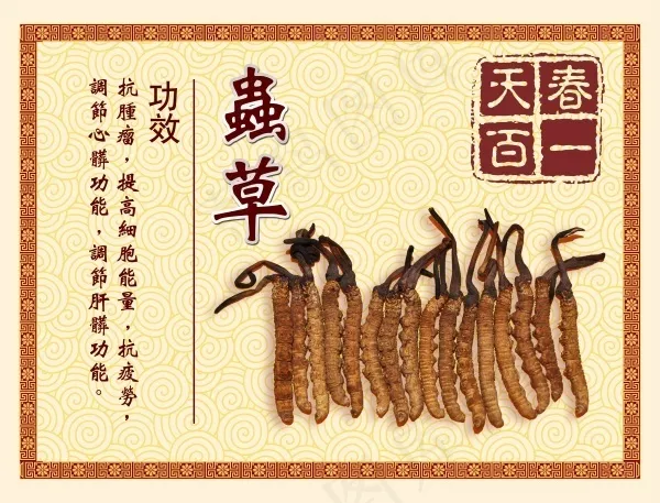 虫草宣传psd模版下载