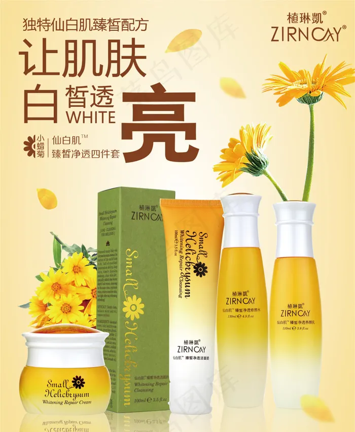 窗背胶广告 小蜡菊美白套装ai矢量模版下载