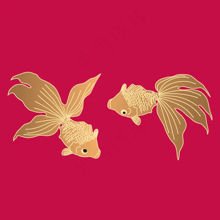 金鱼素材