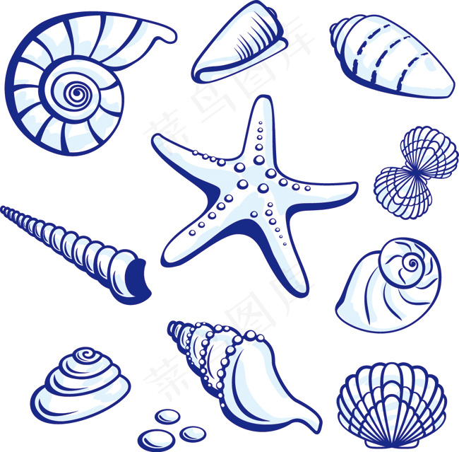 贝壳矢量