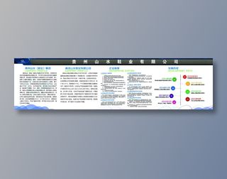 企业简介及发展历程