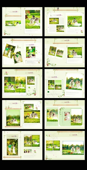 2016最新影楼韩式婚纱相册模板
