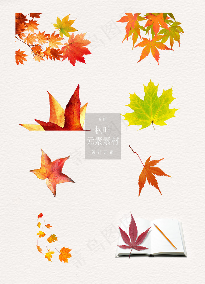 秋天装饰枫叶免扣素材
