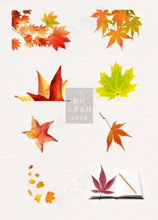 秋天装饰枫叶免扣素材
