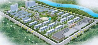 长阳电子商务工业园鸟图片