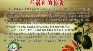 石锅鱼图片