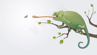 变色龙矢量素材