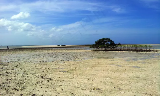海滩 风景图片 海滩 风景图片