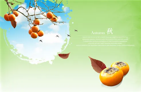 古典水墨柿子创意素材