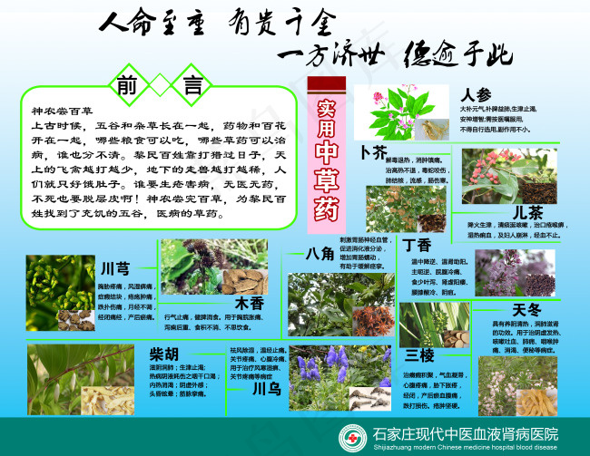 中药材医院展板