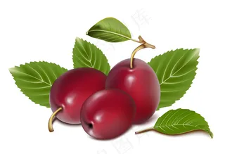 一些红色的水果矢量