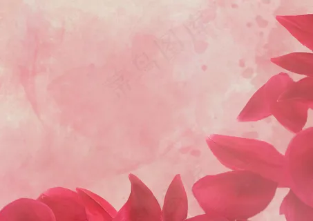 情人节背景 情人节背景