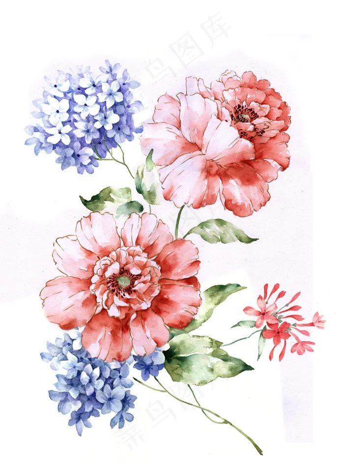 手绘花卉图片