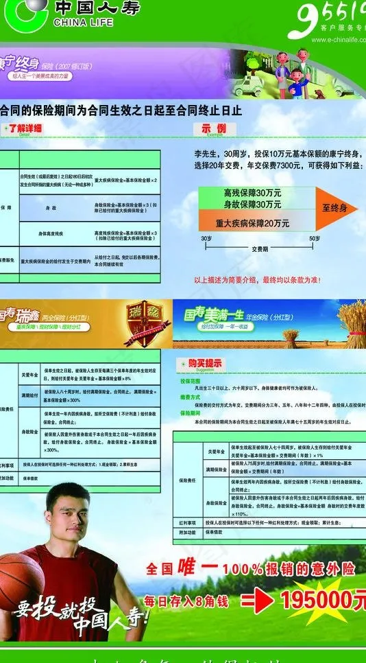 中国人寿保险易拉宝图片psd模版下载