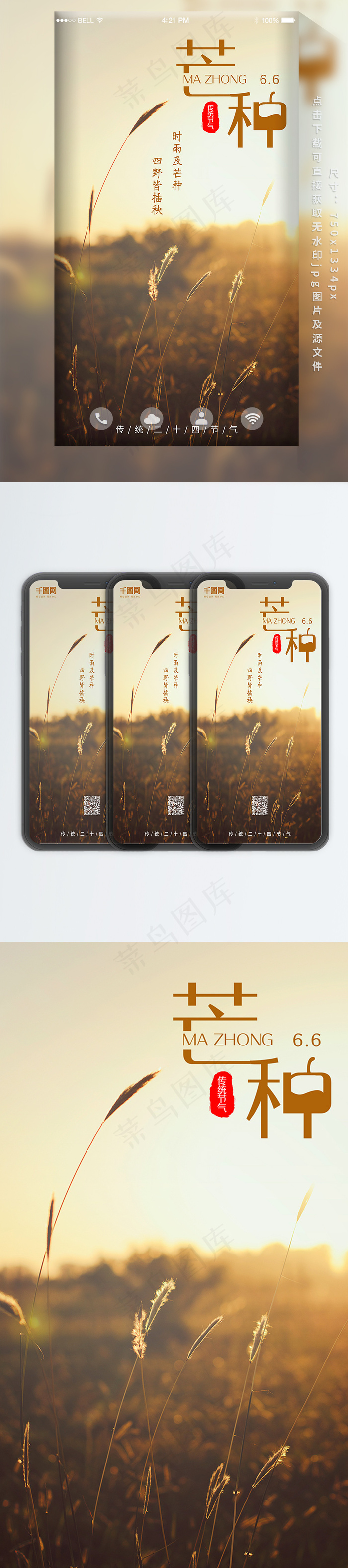 芒种二十四节气简约麦穗小清新手机配图