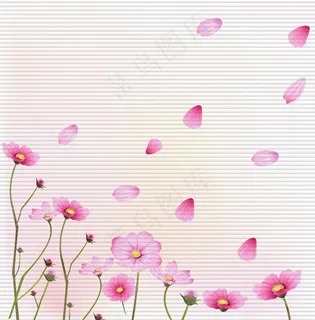 花瓣移门 花瓣移门