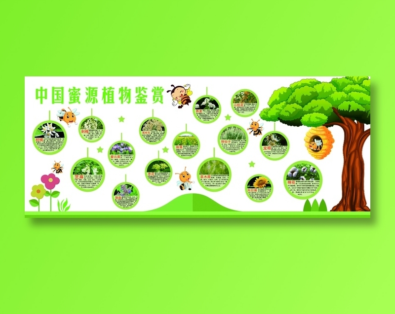 中国蜜源植物鉴赏psd模版下载