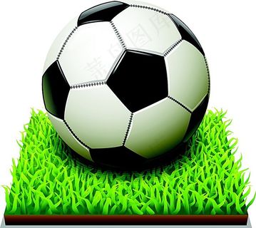 草地上的黑白足球