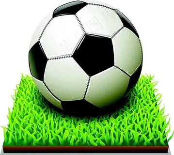 草地上的黑白足球