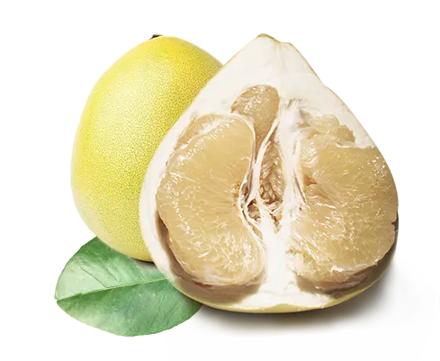 实物柚子水果png海报合成素材psd模版下载